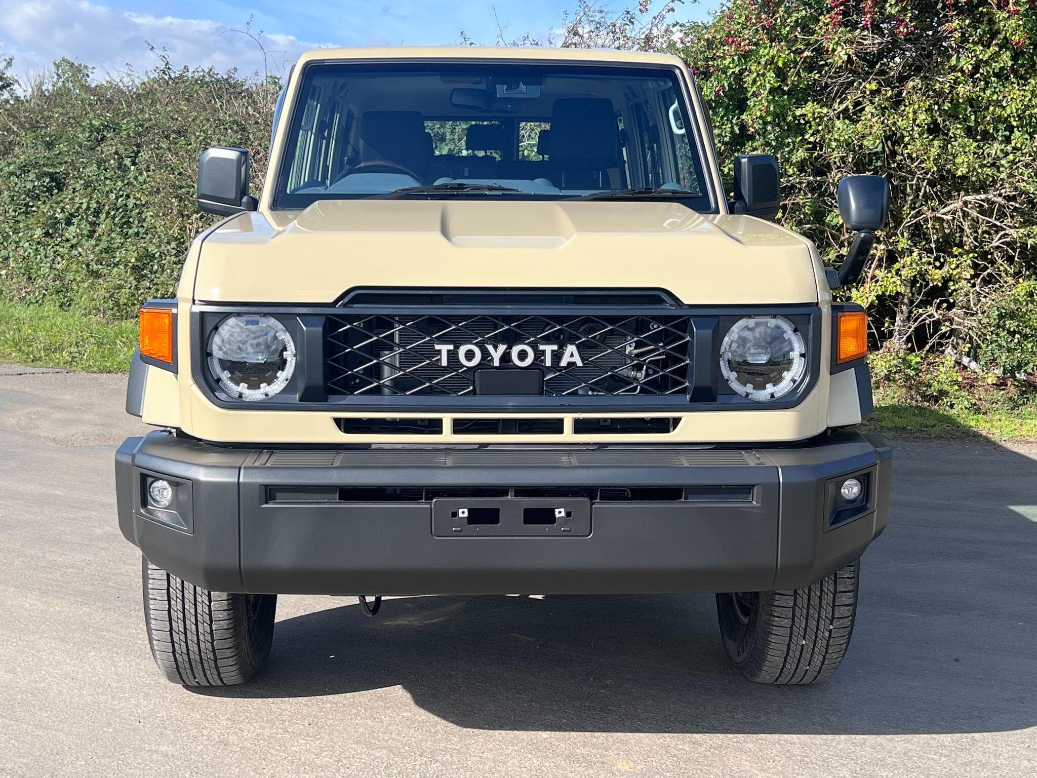Toyota Land Cruiser - Image 2